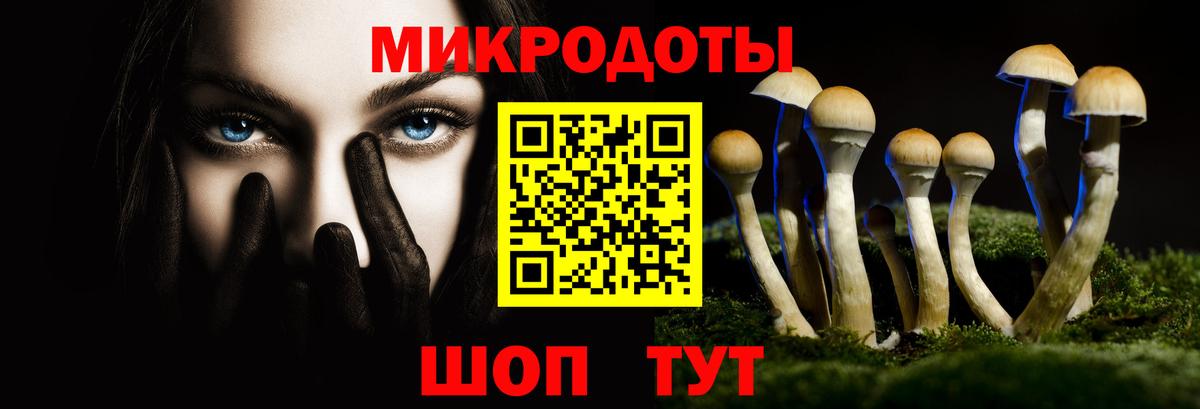 Псилоцибиновые грибы Magic Shrooms Богородицк